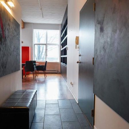 1 CH - 1 SDB - Montréal - $3,200 /mo - Photo 4