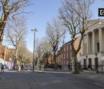 Cute 1-bedroom apartment for rent in City Center, Dublin - Photo 6