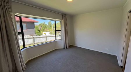 Newly Renovated Albert Town Rental Home - Photo 5