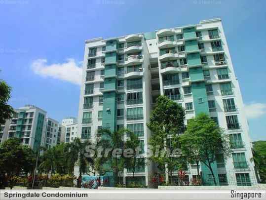 Springdale Condominium (D21), Condominium - For Rent - Photo 1