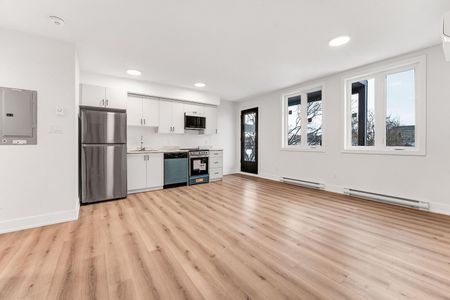 Brand New Rental Apartments in the Heart of Hintonburg - Photo 4