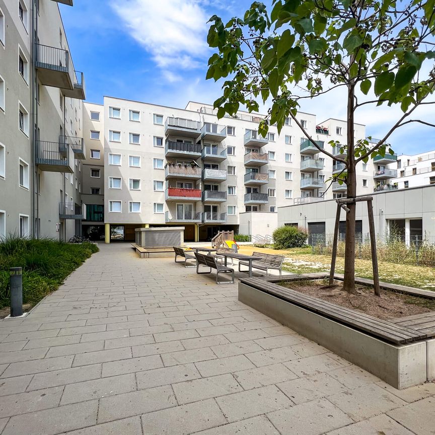 3-Zimmer-Wohnung mit Balkon und südlicher Ausrichtung - Photo 1