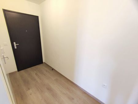 APPARTEMENT TYPE 2 DE 51 M2 PARKING SECTEUR JAMIN DISPONIBLE DE SUITE - Photo 3