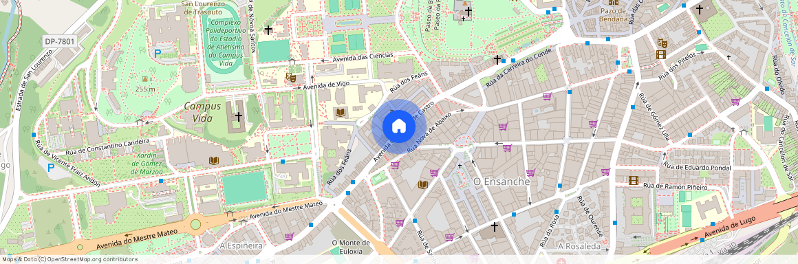 Avenida de Rosalía de Castro