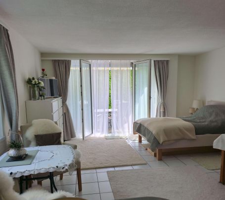 Helle 1.5-Zimmer-Wohnung mit Gartensitzplatz und Einstellhallenplatz - Foto 1