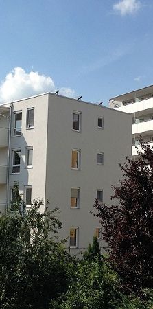 Sonnige - 3-Zimmer-Wohnung im Obergeschoss mit Balkon und Dachterrasse! - Foto 2