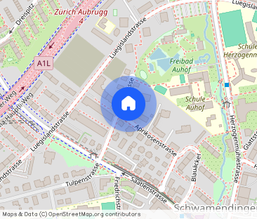 Mickey #2 - Experience 60's Charm in Zürich's Green Oasis - Foto 1