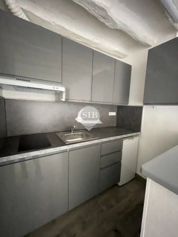 Location Appartement 1 pièce 22m² LA VILLE DU BOIS 91620 - Photo 4