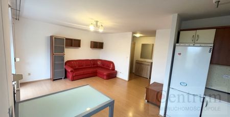 Opole, Szczepanowice Mieszkanie na wynajem - Photo 3