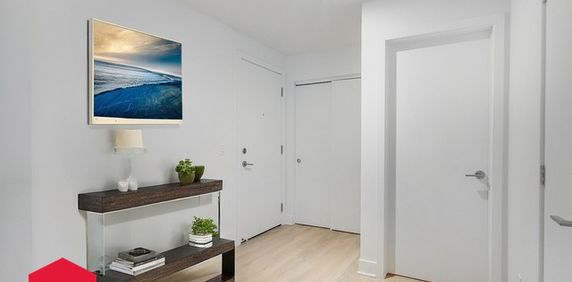 Appartement Mercier/Hochelaga-Maisonneuve (Montréal) À Louer - Photo 2