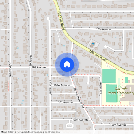13325 102 A STREET, Surrey
