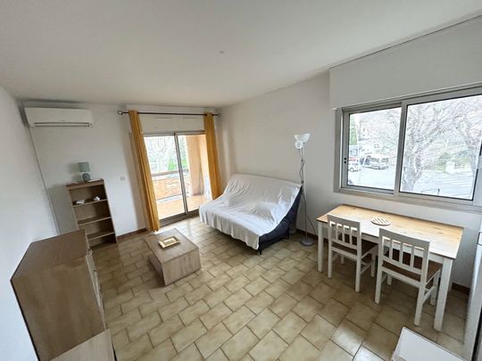 Location Appartement 1 pièce 29m² PIETRANERA 20200 - Photo 1