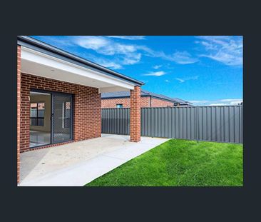 Spacious Family Living in the Heart of Kalkallo - Photo 1