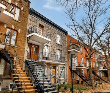 Appartement à louer - Montréal (Le Plateau-Mont-Royal) (Le Plateau-... - Photo 6