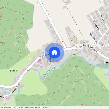 Entenbach 1, 8374, Dussnang