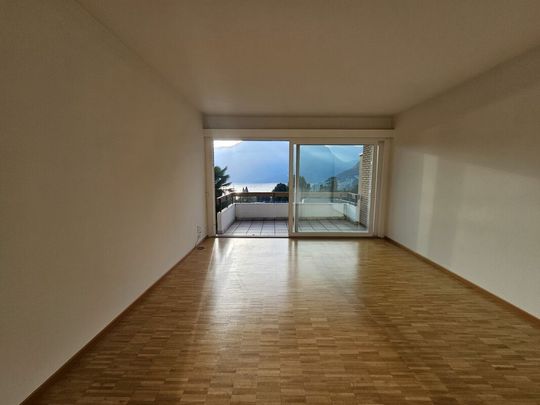 3.5 locali con splendida vista lago - Foto 1