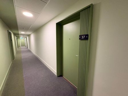 2 bedroom penthouse to rent - Photo 2