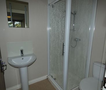 10 Ledbury Road, Hereford - Photo 6