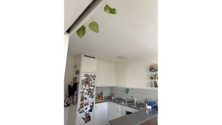 2.5 Zimmer, 50 m², 3. Stock - Photo 5