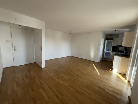 RIVOLO 23: Geräumige 2-Zimmer-Wohnung mit Balkon nahe Erlaaer Straße - in 1230 Wien zu mieten - Photo 4