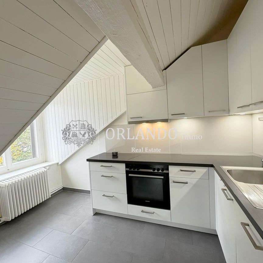 Reprise de bail Bel appartement de 5 pièces en attique avec poutres apparentes - Photo 1