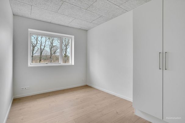 Velkommen til Rosmarinvej - Photo 1