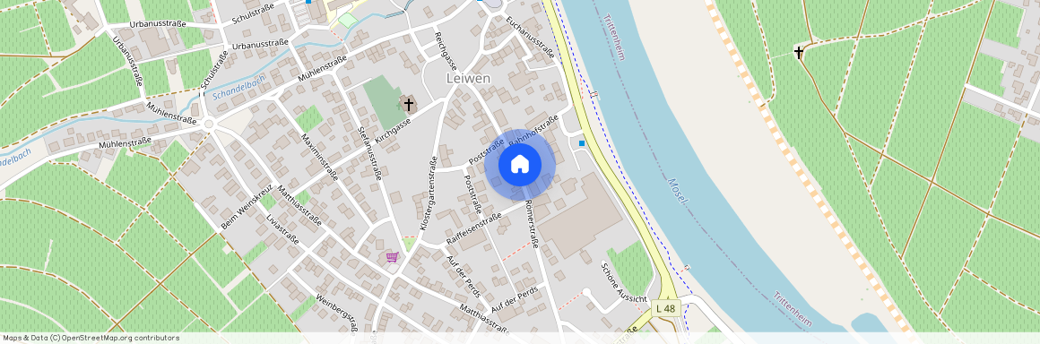 54340 Rheinland-Pfalz - Leiwen