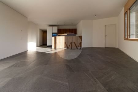 LUMINOSO 4.5 LOCALI CON GRANDE TERRAZZA E VISTA APERTA - Foto 5