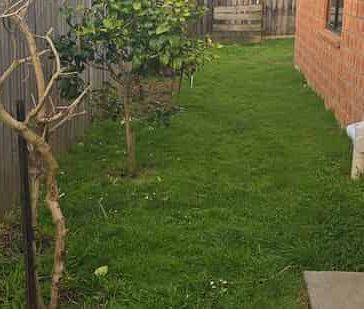 Spacious 4-bedroom family home - Photo 1