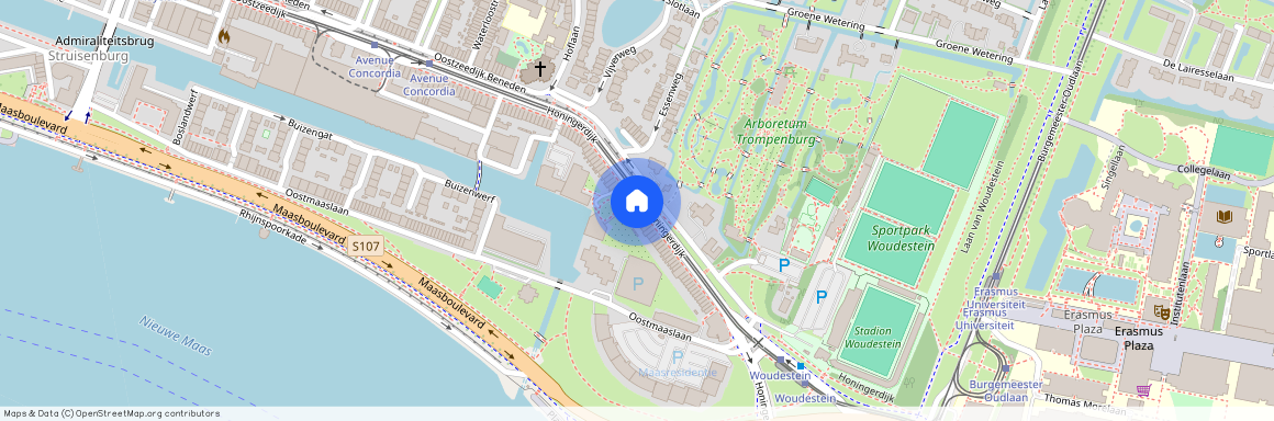 Struisenburg, 3063 AK, Honingerdijk, Rotterdam