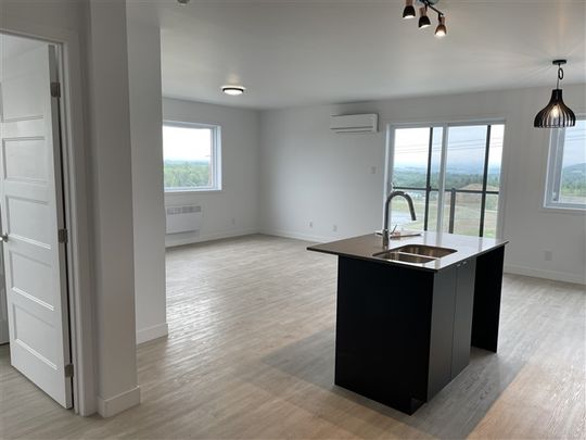 820-304, rue Lamarche, Sherbrooke, J1H 0M9 3½ pour Janvier - Photo 1