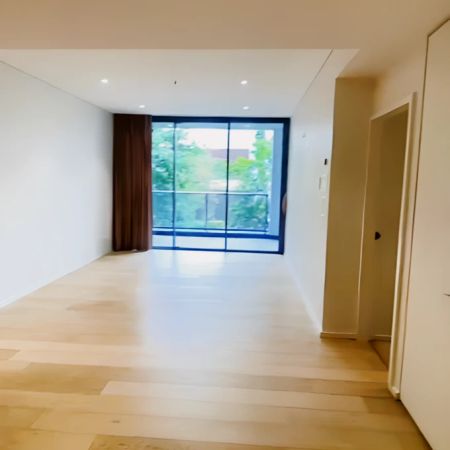 1 steam mill lane Haymarket, Sydney - Photo 4