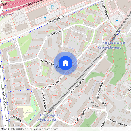 Göteborg, Lydinghielmsgatan, 6, 41643