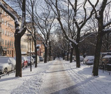 Katarina Bangata, Stockholm - Photo 2