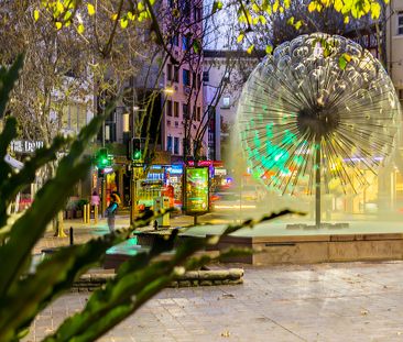 10 Earl Place, Potts Point NSW 2011 - Apartment For Rent | Domain - Photo 3