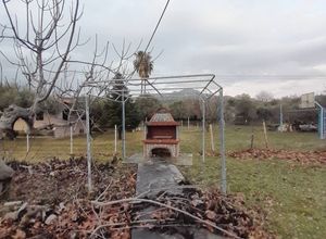 Studio/Γκαρσονιέρα για ενοικίαση - Σιθωνία, - Φωτογραφία 5