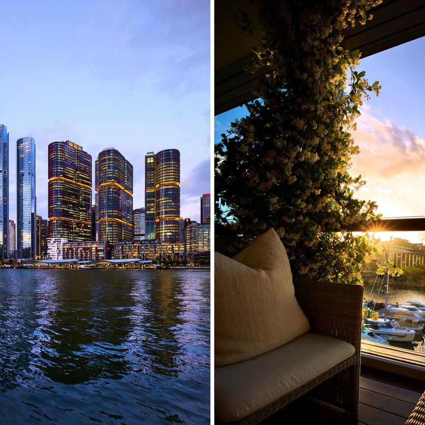 25/56 Pirrama Road, Pyrmont NSW 2009 - Apartment For Rent | Domain - Photo 1