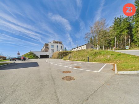 *Über der Nebelgrenze* 4- Zimmer Wohnung mit Terrasse und Garten - Photo 4