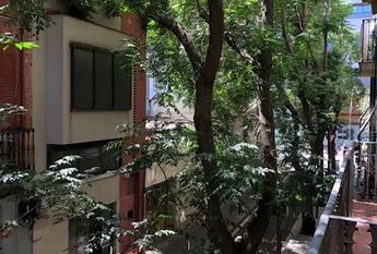 Ingenio, Canary Islands 35259