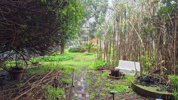 North Perth - Photo 1