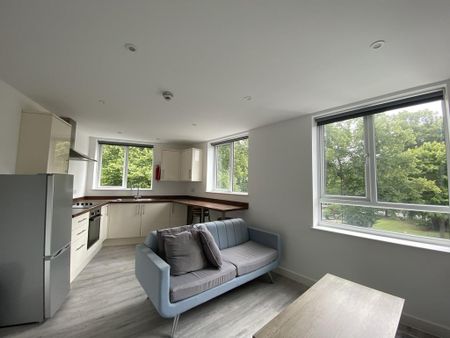 3 bedroom apartment to rent - Photo 4