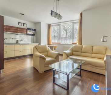 2-pok 53m2 przy Młynówce*w sercu Krowodrzy*Kaz.Wlk - Photo 3