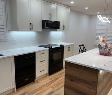 For Lease - 464 Sandford Street Unit# Main Floor, Newmarket, Ontario - Photo 3