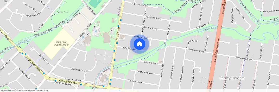 29 Tenella Street, Canley Heights, NSW 2166