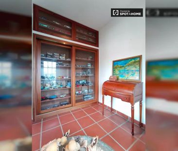 1-bedroom apartment for rent in Alvalade - Photo 2
