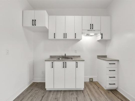 147 Boul. Crémazie O. - Photo 1