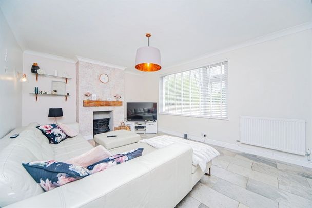 Liquid error: internal - Photo 1