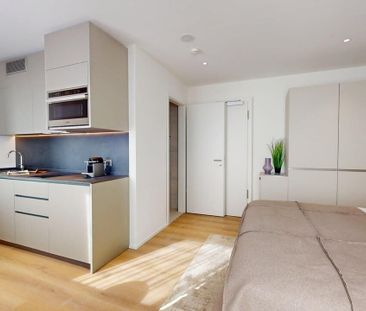 Renovated studio, close to Nations, Palexpo and Geneva airport - Photo 3