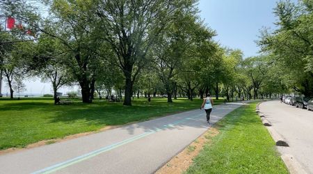 For Lease - 50 East Liberty Street Unit# 1111, Toronto, Ontario - Photo 3