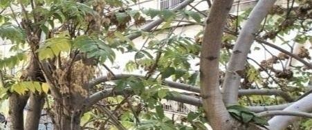 Διαμέρισμα για ενοικίαση - Αμπελόκηποι - Πεντάγωνο, - Photo 1